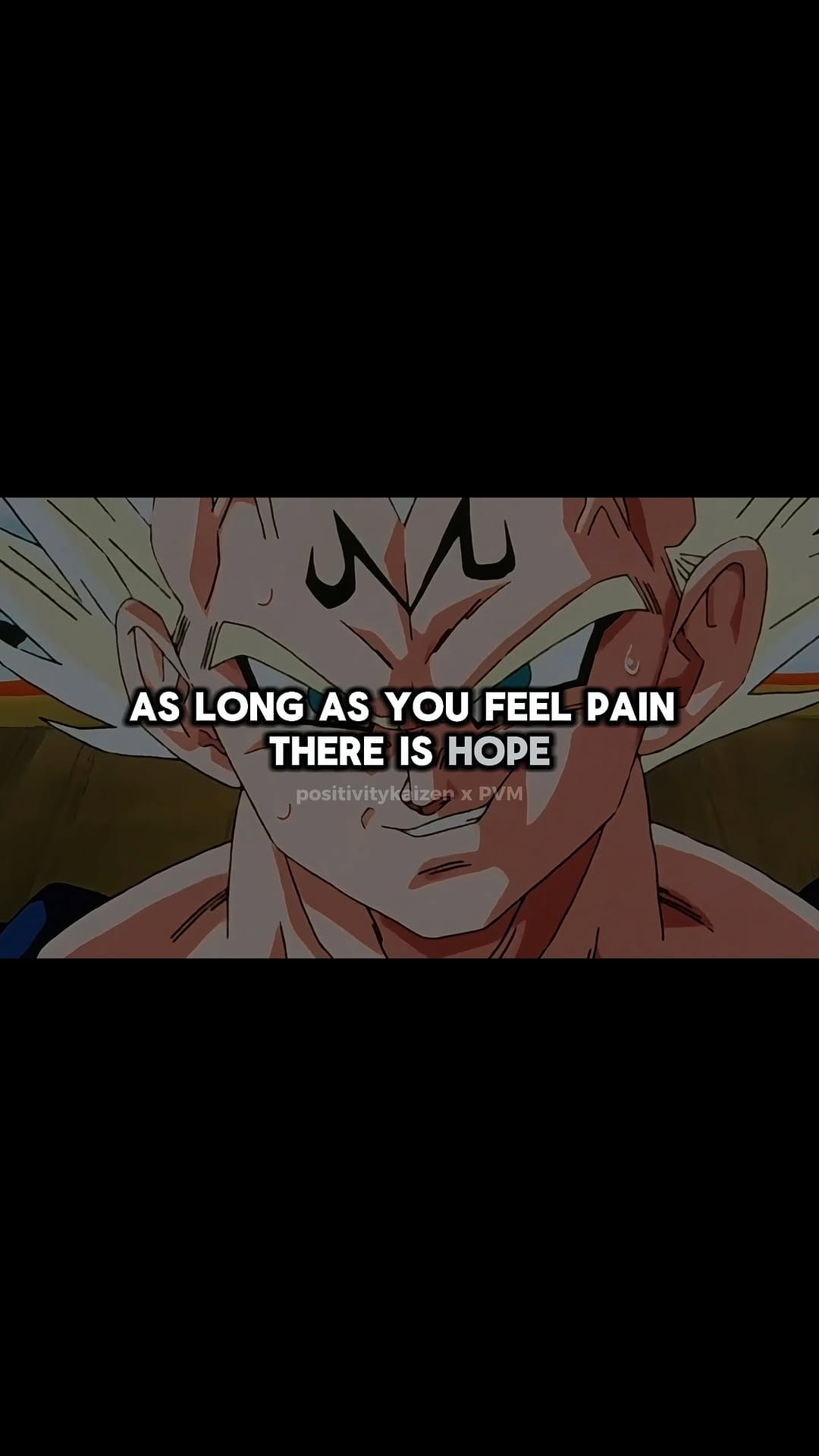 Post 5 by Prince Vegeta Motivation on Instagram (video)