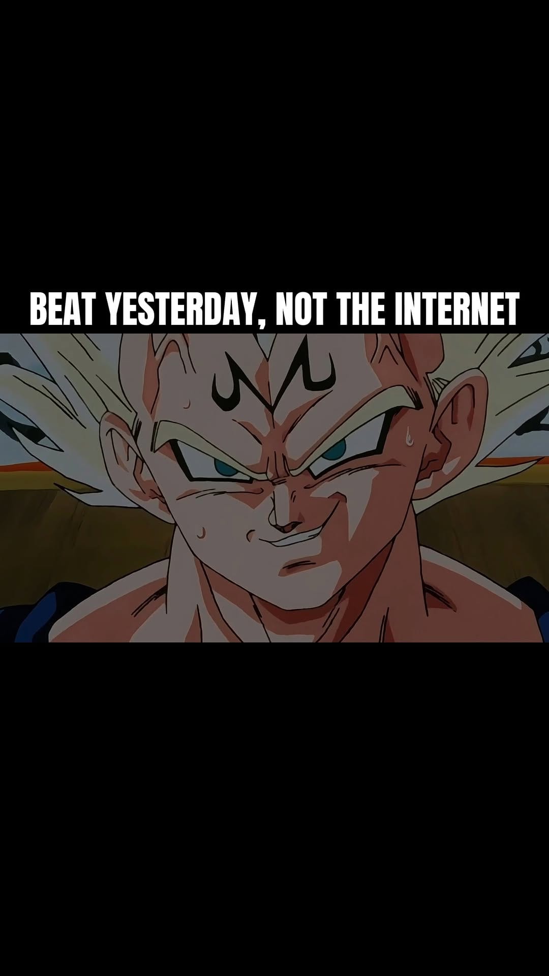 Post 6 by Prince Vegeta Motivation on Instagram (video)
