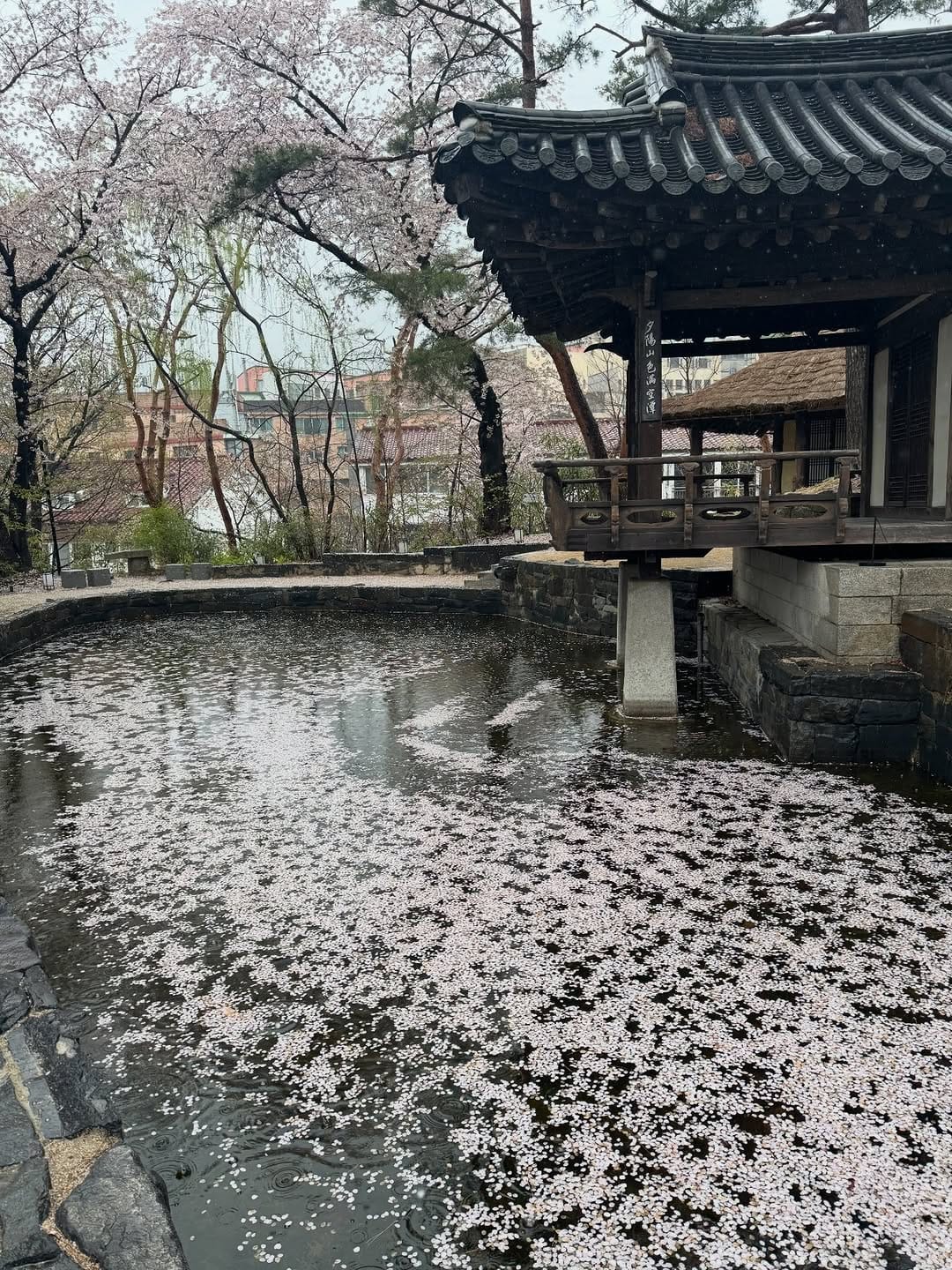 Post 5 by Kathleen Hanhee Kye/ 계한희 on Instagram (carousel)