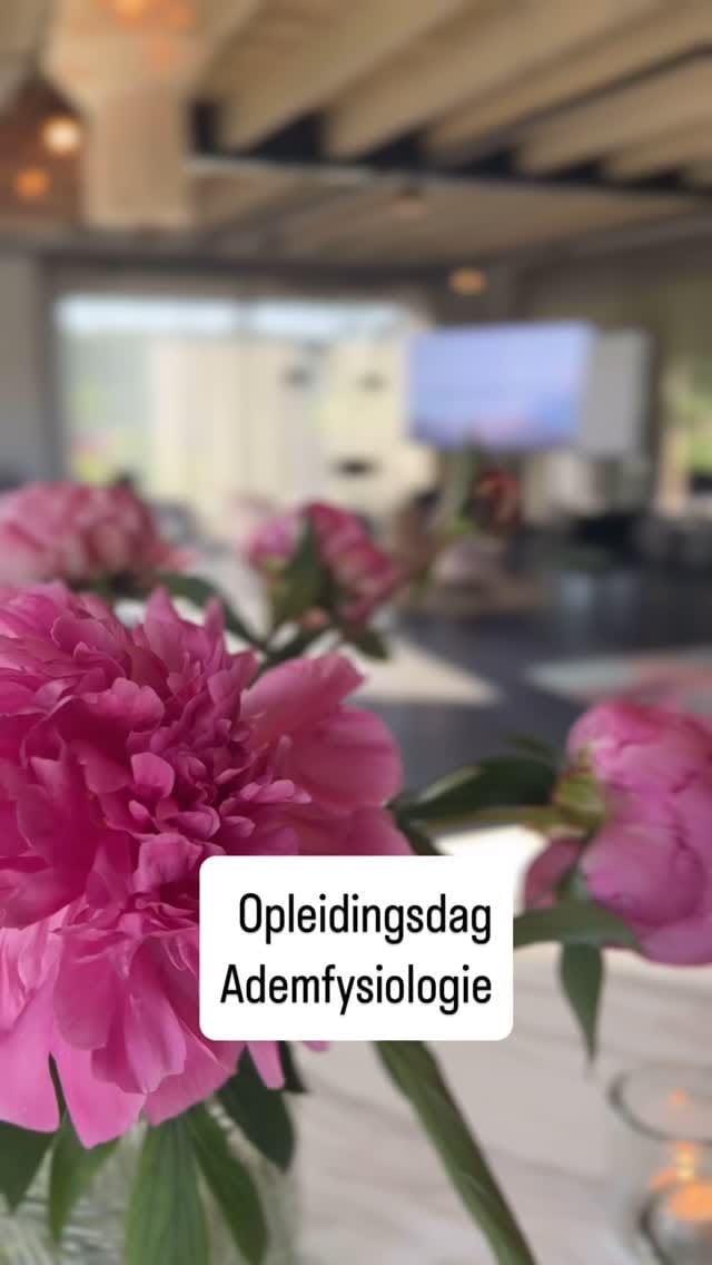 Post 10 by Steven Zwerink | Ademfysioloog on Instagram (video)