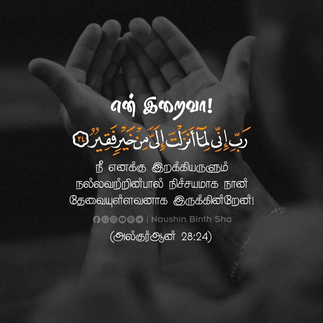 Post 8 by • الخوف من الله • on Instagram (image)