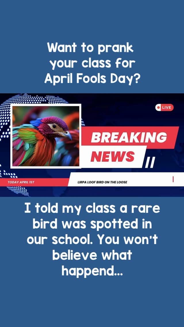 Post 5 by Molly - First Grade Teacher - Firstieland on Instagram (video)