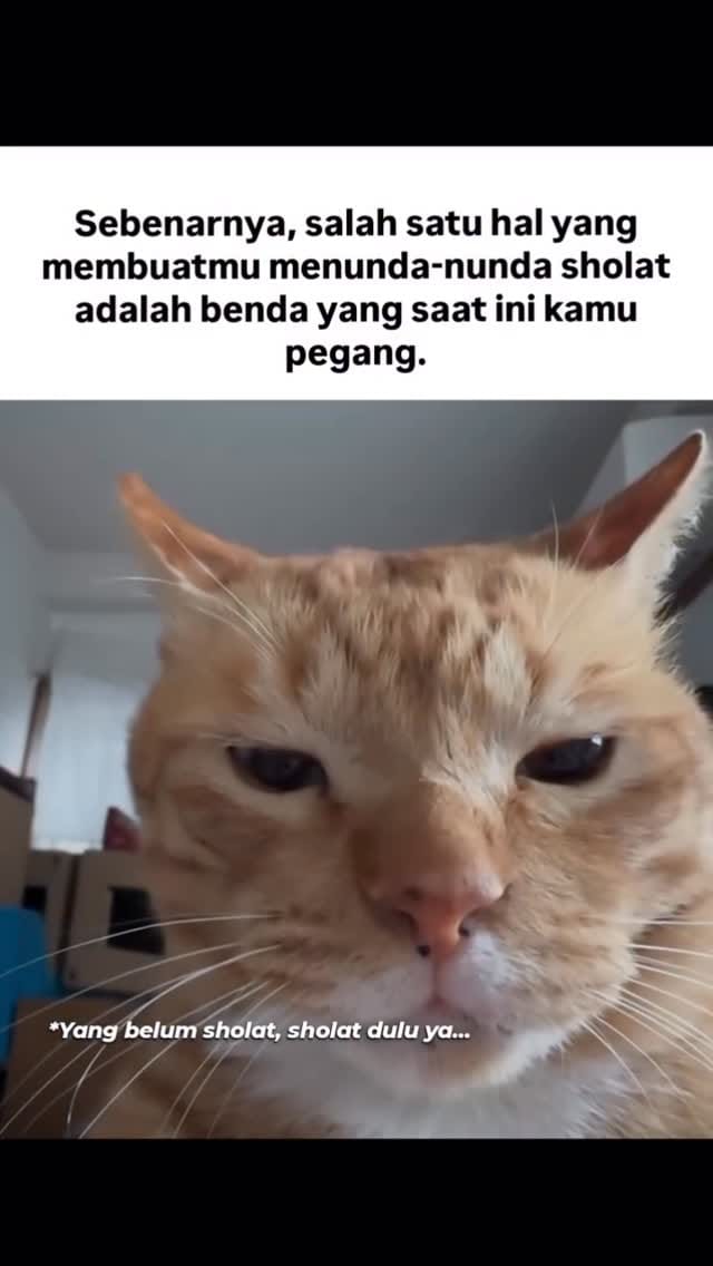 Post 2 by Berbagi_kebaikan on Instagram (video)