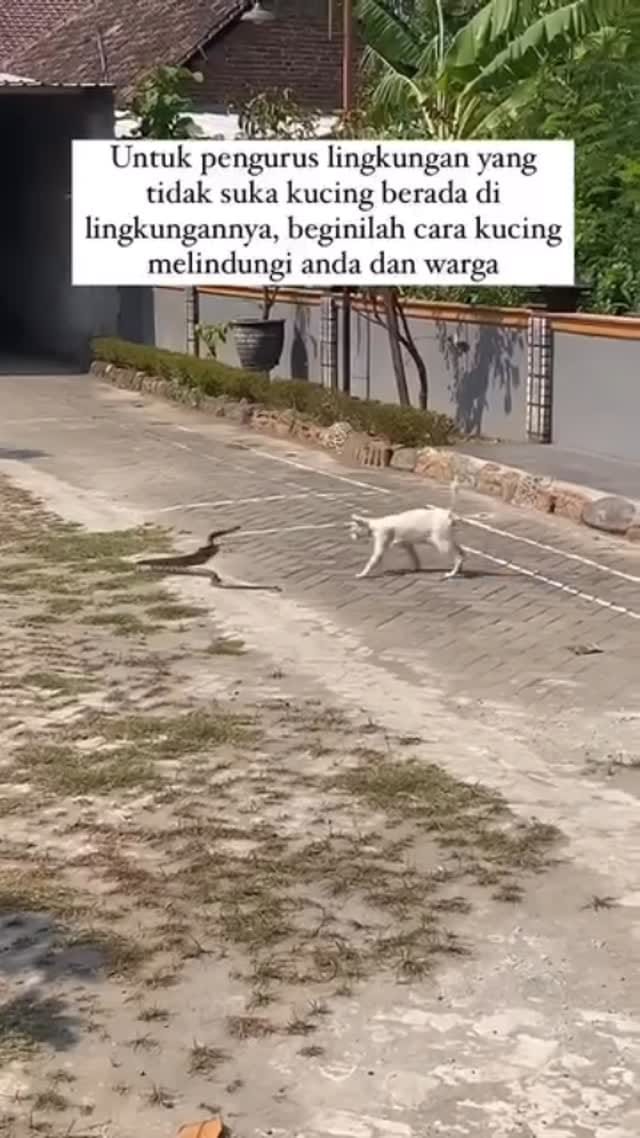 Post 4 by Berbagi_kebaikan on Instagram (video)
