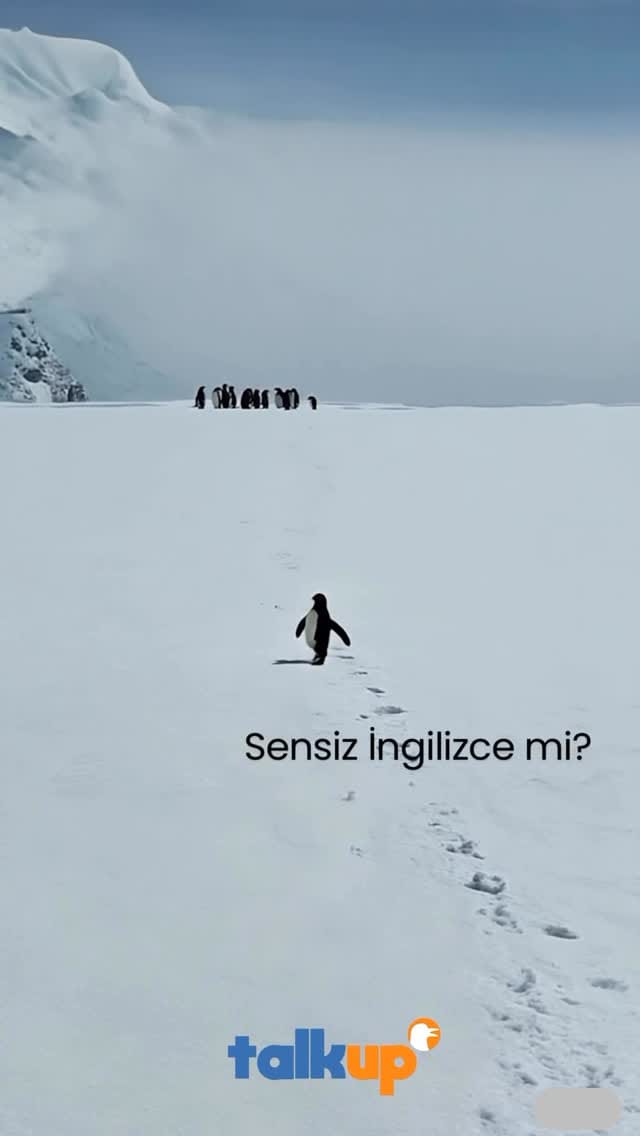 Post 5 by Talk Up Education | Online İngilizce Eğitim on Instagram (video)