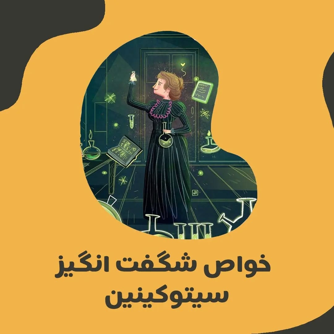 Post 9 by Hajiyousef   |   حاجی یوسف on Instagram (carousel)