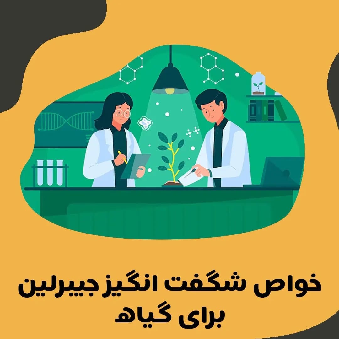 Post 8 by Hajiyousef   |   حاجی یوسف on Instagram (carousel)