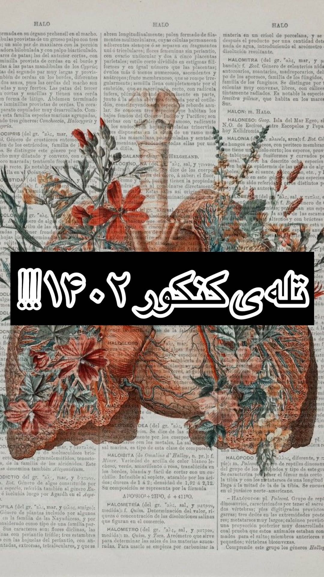 Post 1 by Hajiyousef   |   حاجی یوسف on Instagram (video)