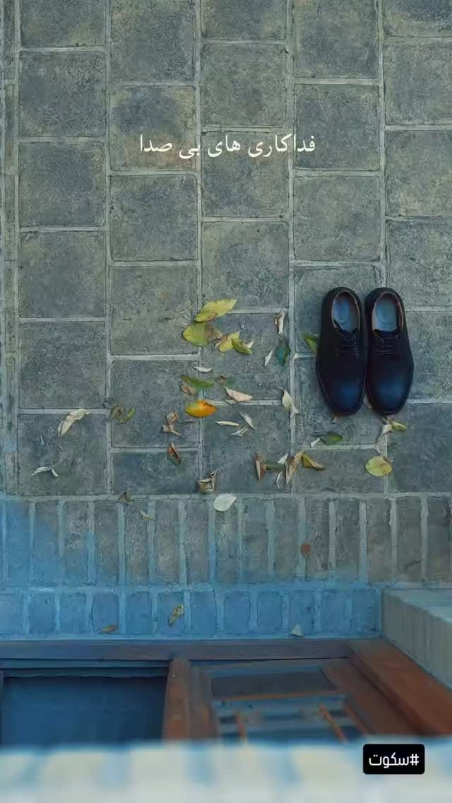 Post 2 by Dr. Javad Pashaei on Instagram (video)