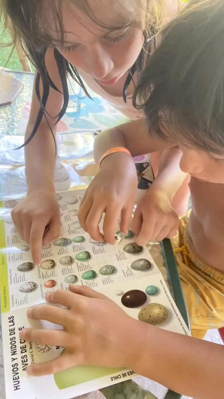 Post 8 by Detectives de la Naturaleza on Instagram (video)