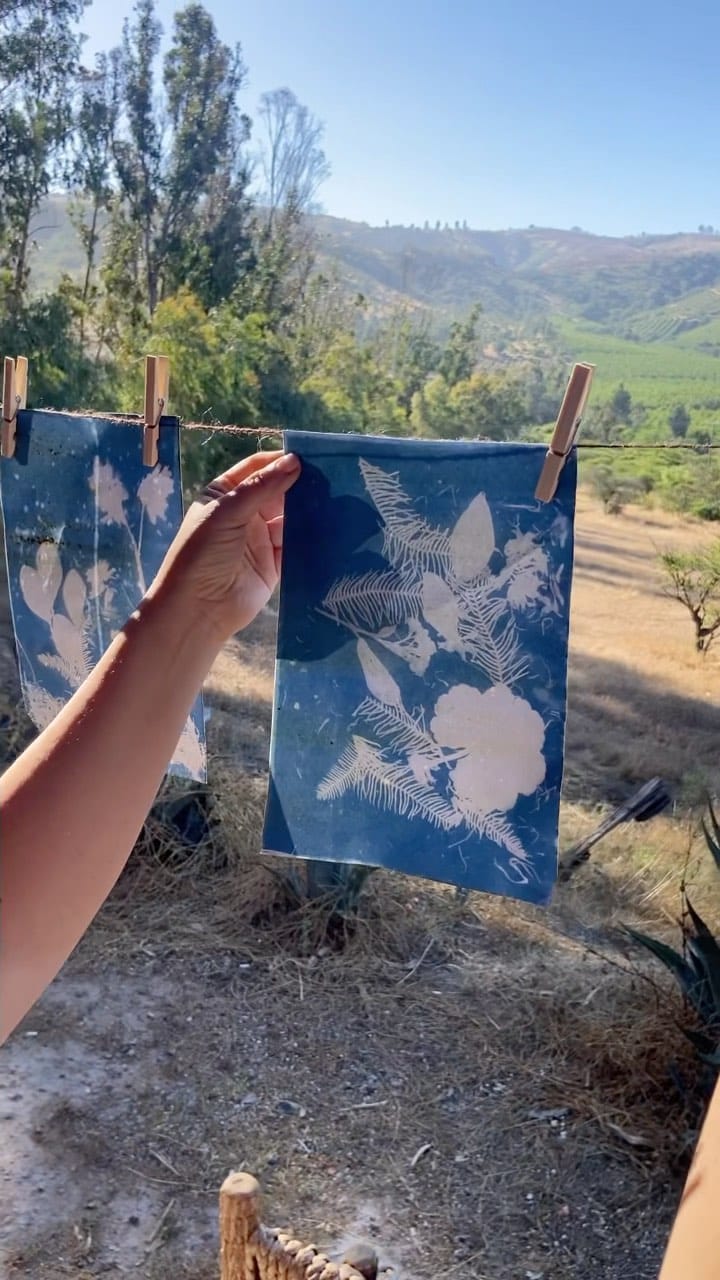 Post 10 by Detectives de la Naturaleza on Instagram (video)