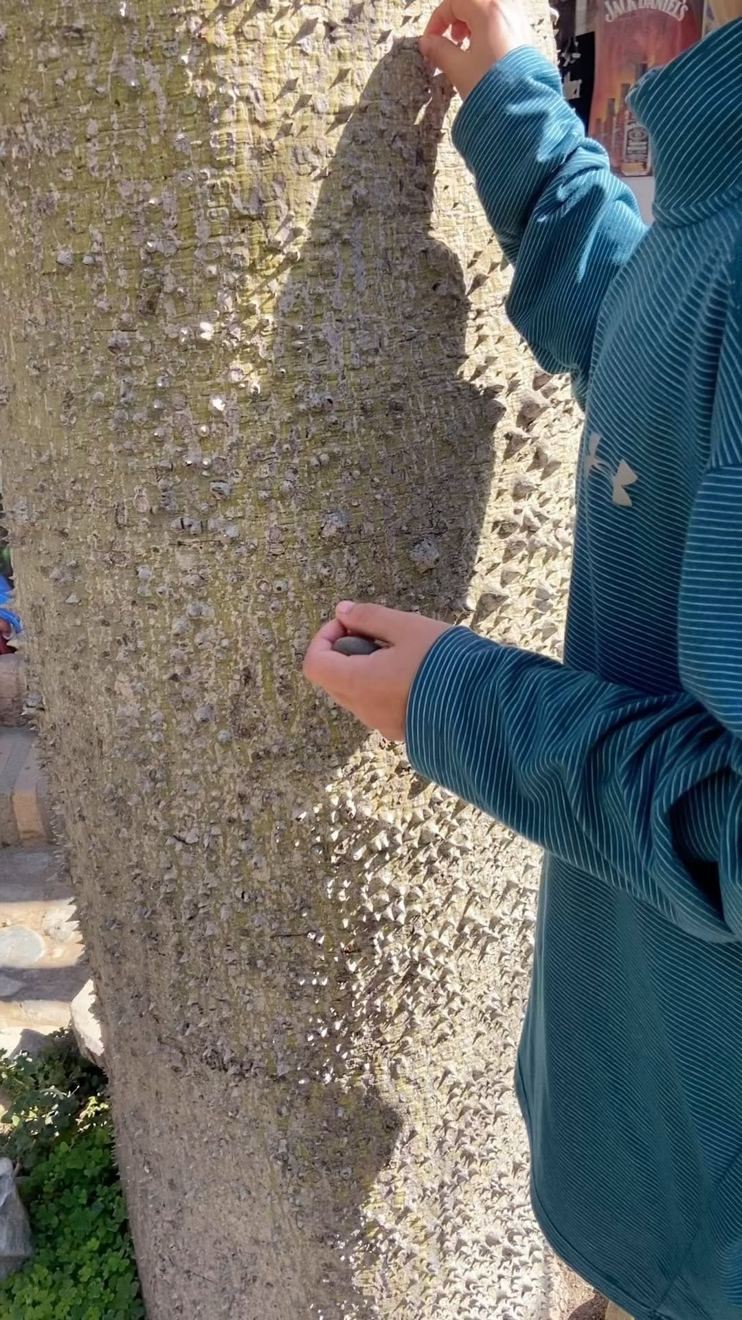 Post 4 by Detectives de la Naturaleza on Instagram (video)