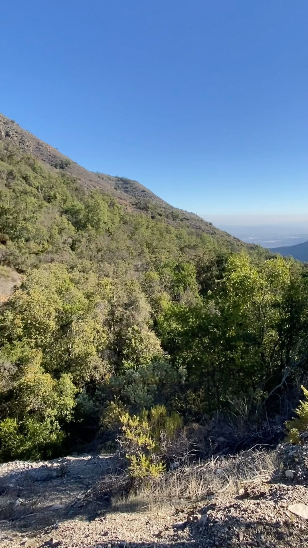 Post 3 by Detectives de la Naturaleza on Instagram (video)