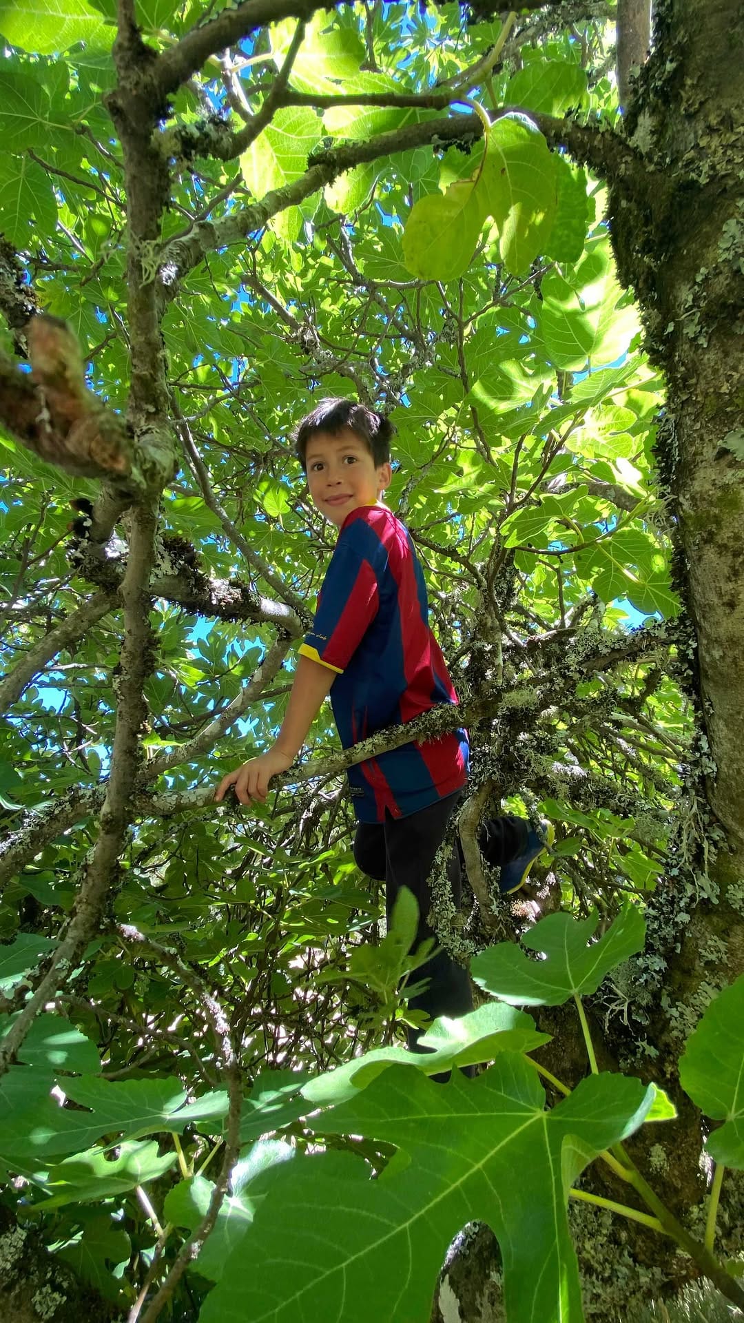 Post 6 by Detectives de la Naturaleza on Instagram (video)
