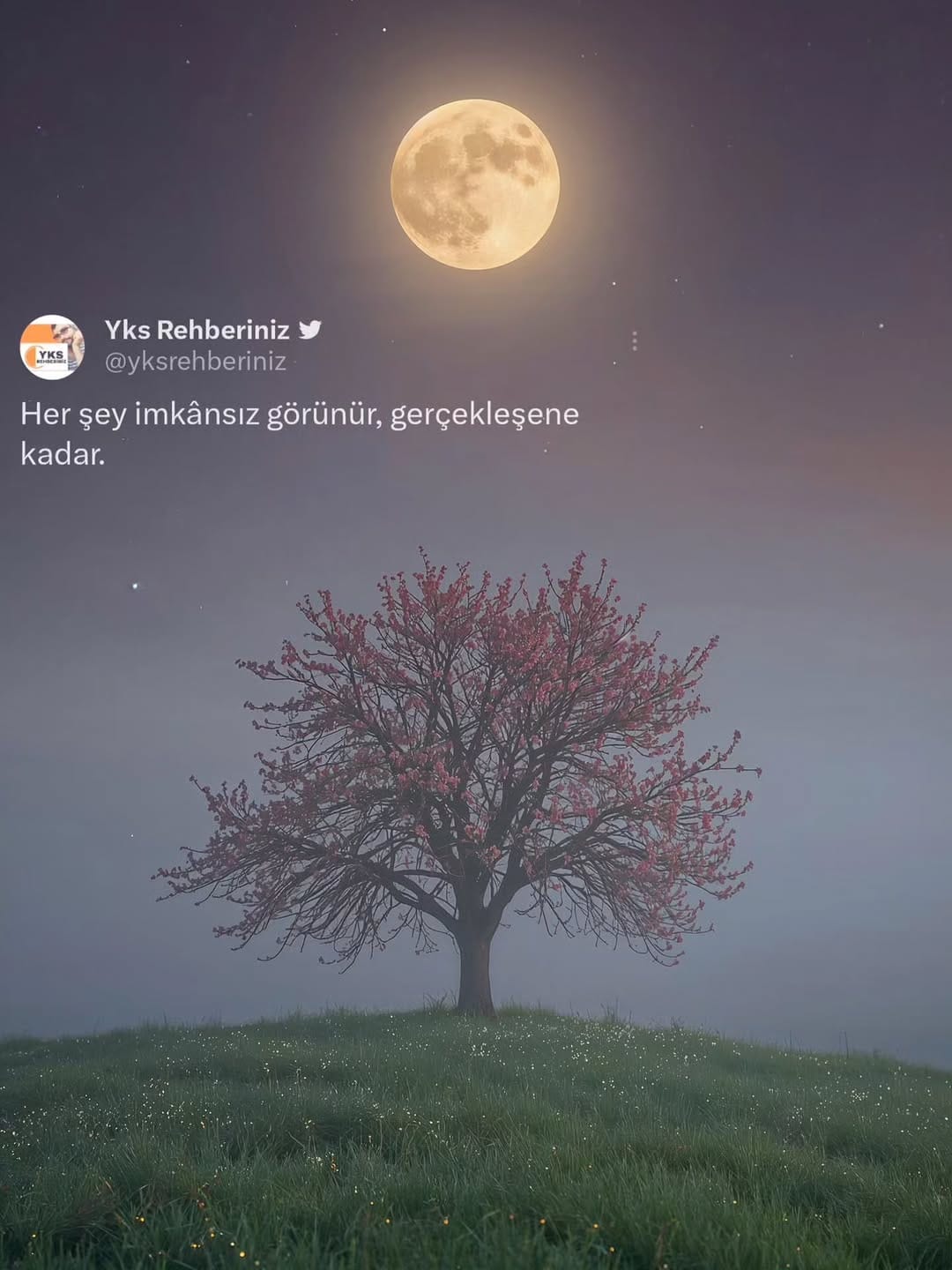 Post 7 by YKS KPSS Tercih Danışmanı on Instagram (image)