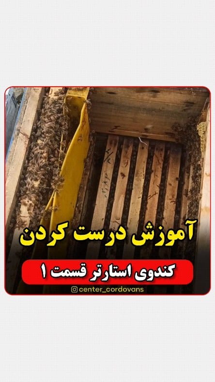 Post 7 by کیوان شیری |  پرورش ملکه زنبور on Instagram (video)