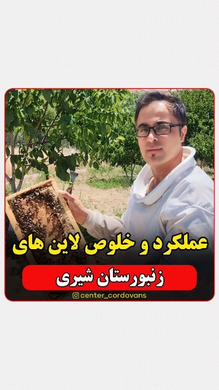Post 1 by کیوان شیری |  پرورش ملکه زنبور on Instagram (video)