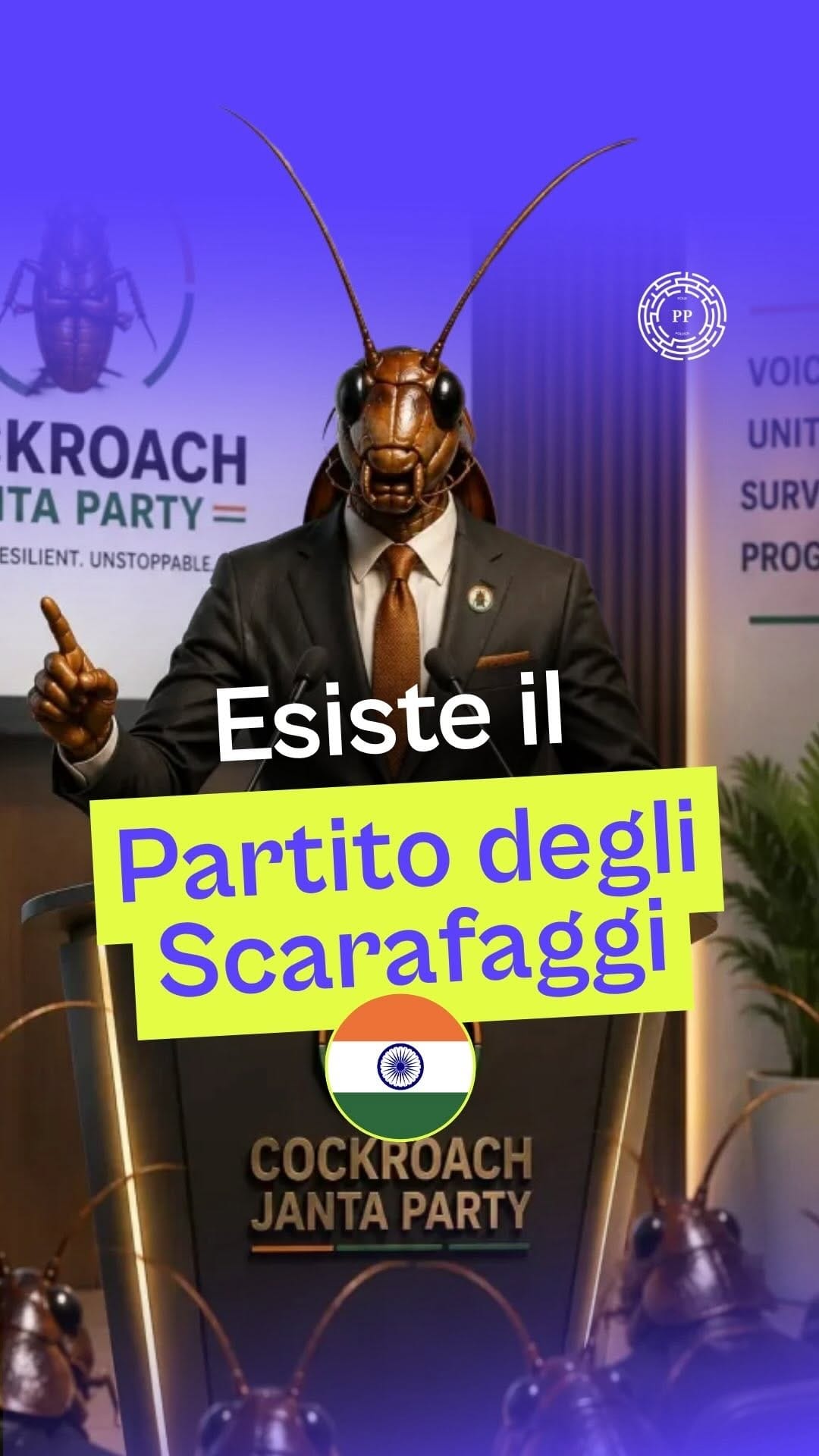 Post 7 by Polis on Instagram (video)