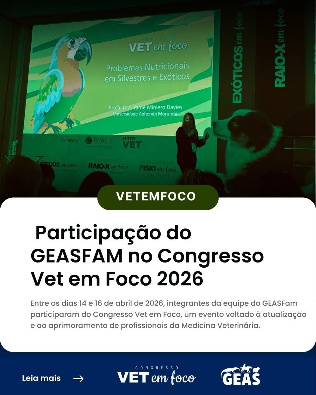 Post 9 by Vet em Foco Congressos e Revistas on Instagram (carousel)