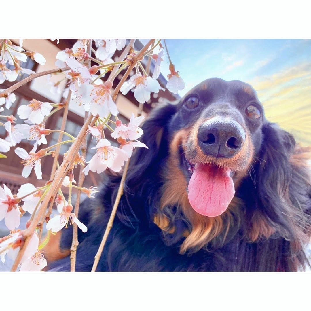 Post 2 by 前田有紗(arimama.)🌻 on Instagram (image)