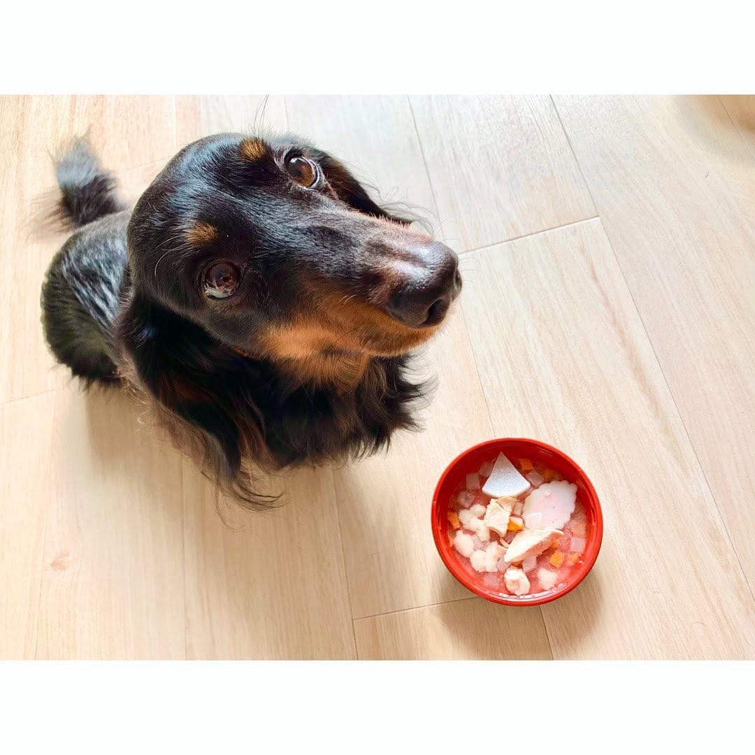 Post 9 by 前田有紗(arimama.)🌻 on Instagram (image)