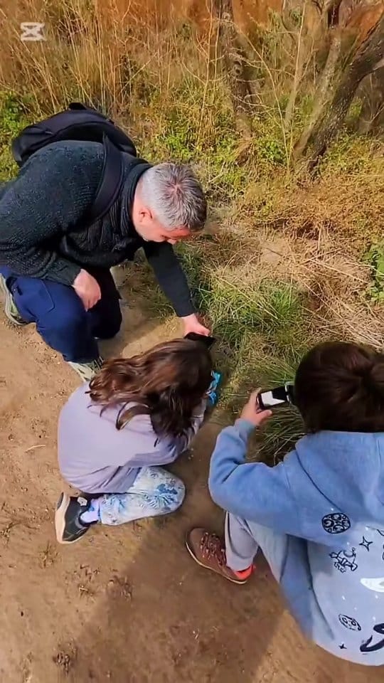 Post 5 by Proyecto Ambiental | Educación Ambiental Transformadora on Instagram (video)