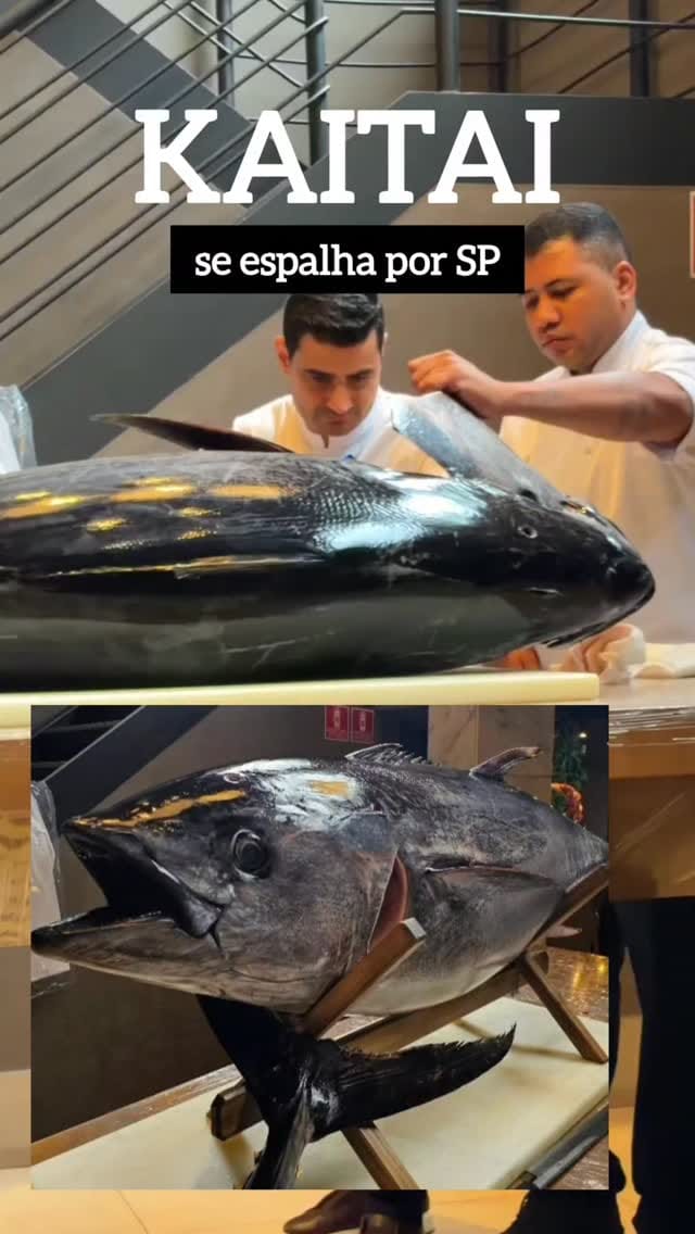 Post 4 by Françoise Terzian on Instagram (video)