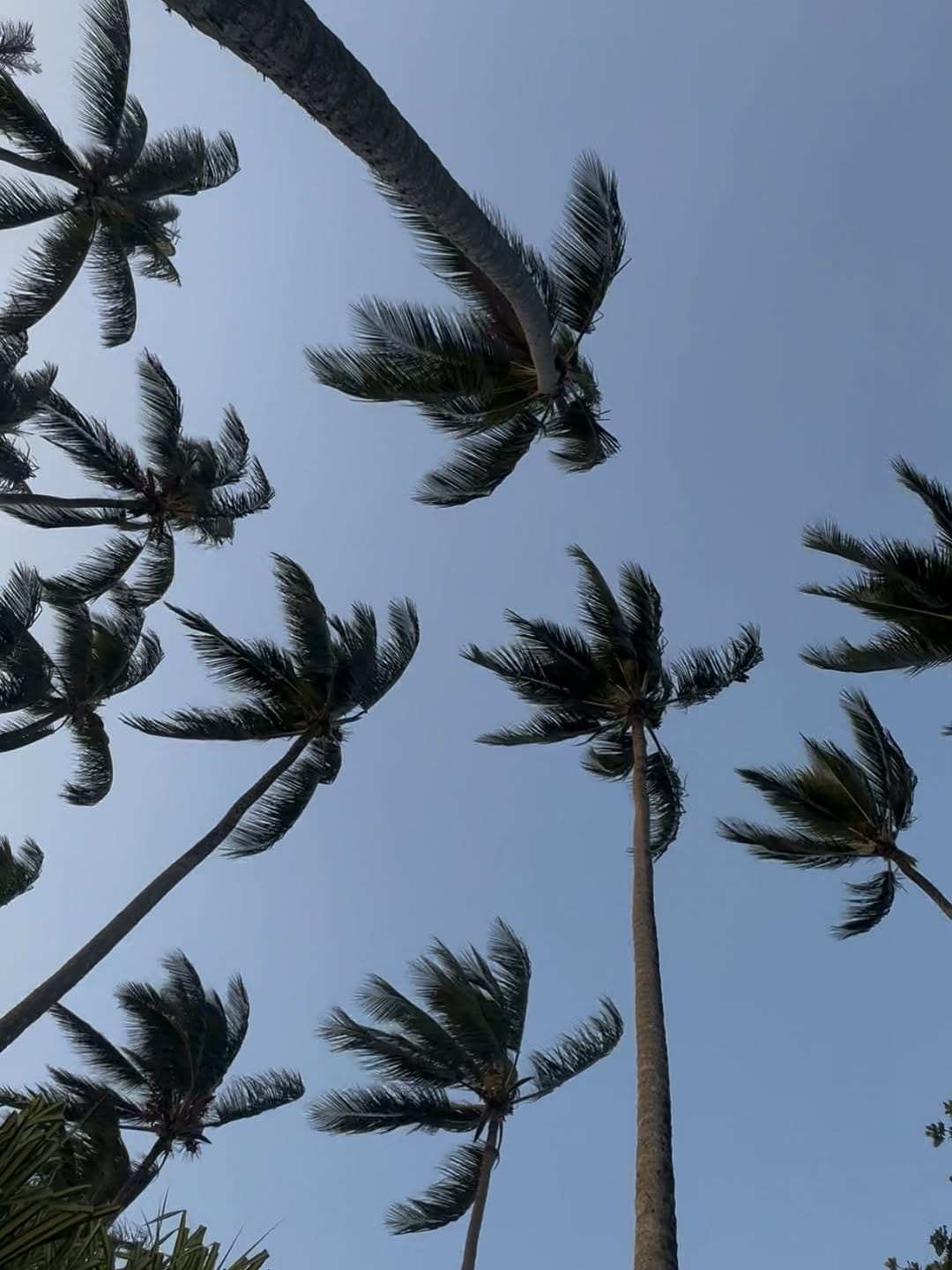 Post 9 by JANISSA RAMIREZ on Instagram (image)