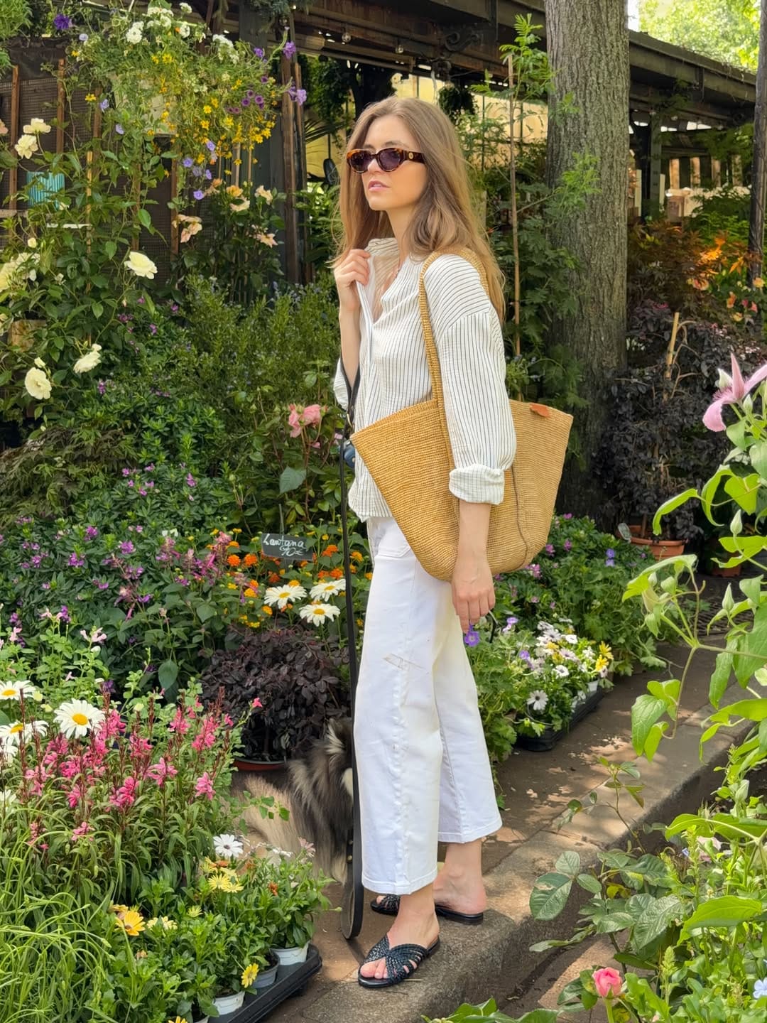 Post 1 by Ségolène Hyppolite on Instagram (carousel)