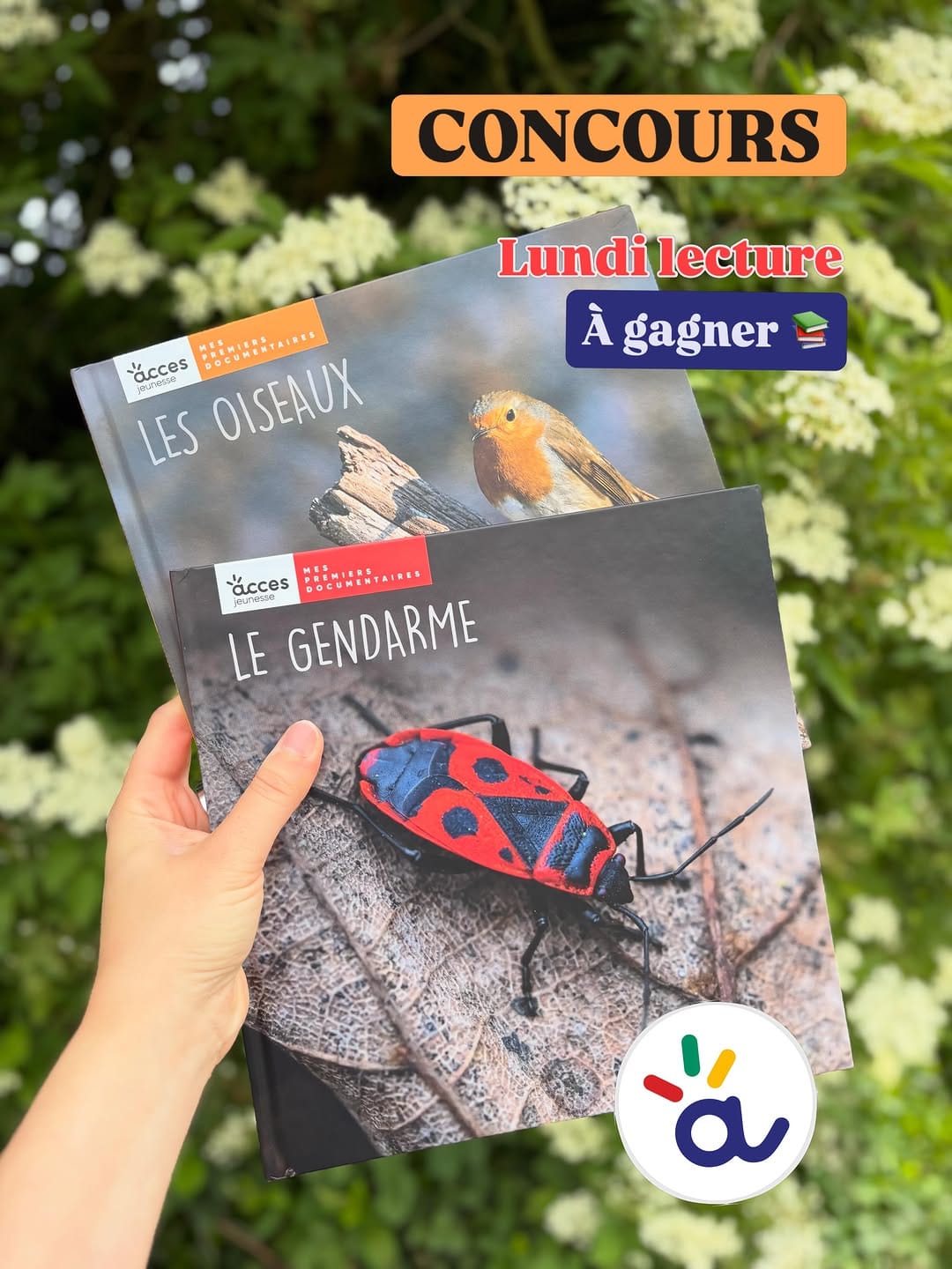 Post 3 by Marylou | Maman Strasbourg | Activités & Sorties enfants on Instagram (carousel)
