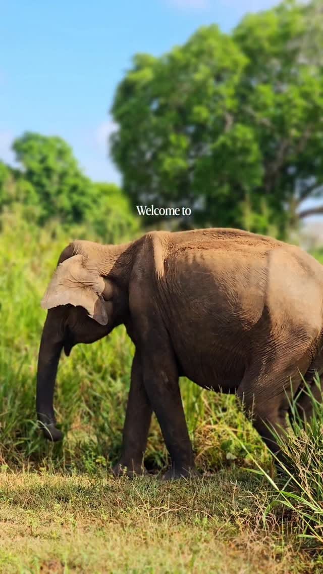 Post 7 by Simona & Francesco | Travel & Food Lovers ❤ on Instagram (video)