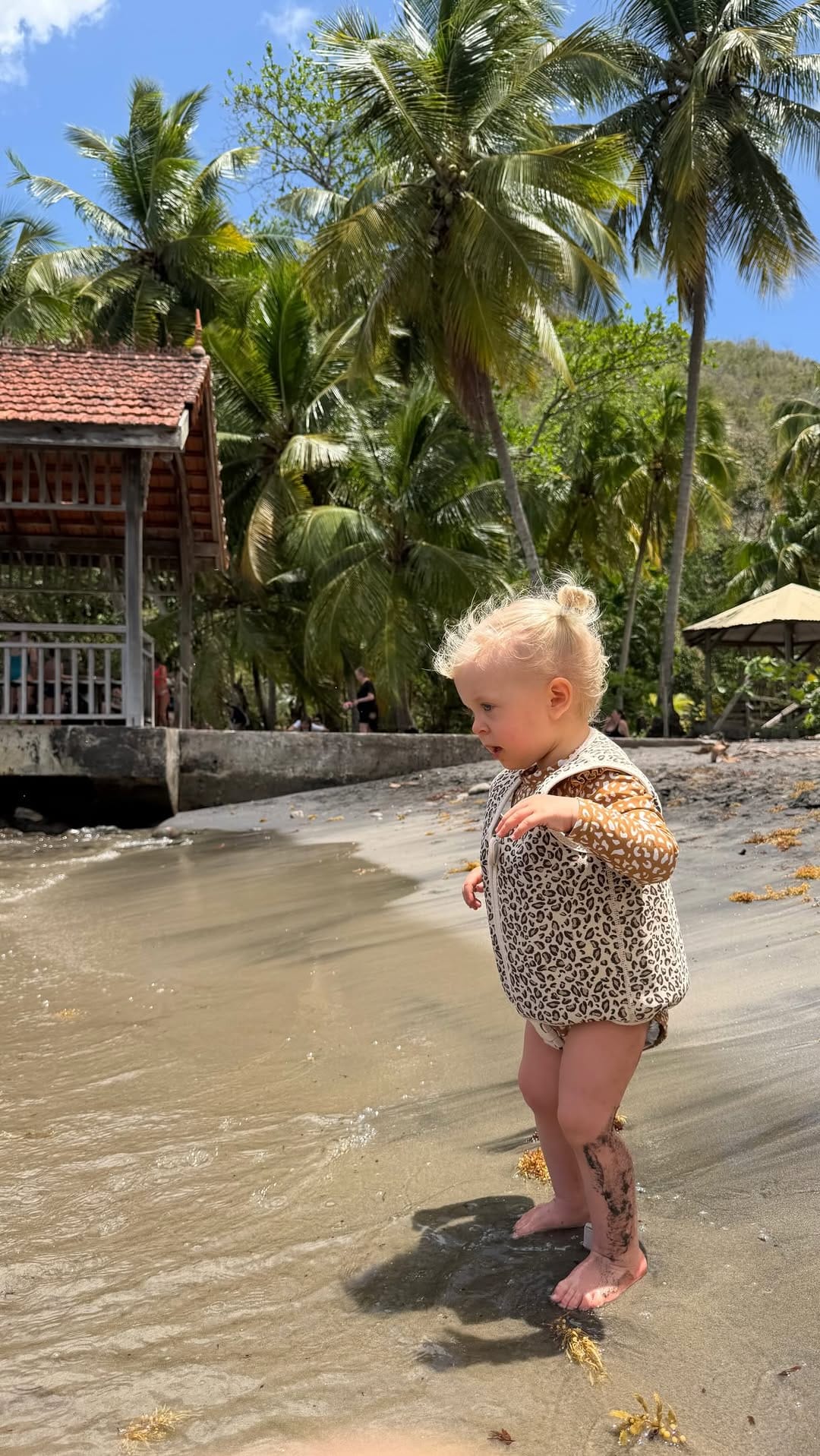 Post 8 by Allison Gnd on Instagram (video)