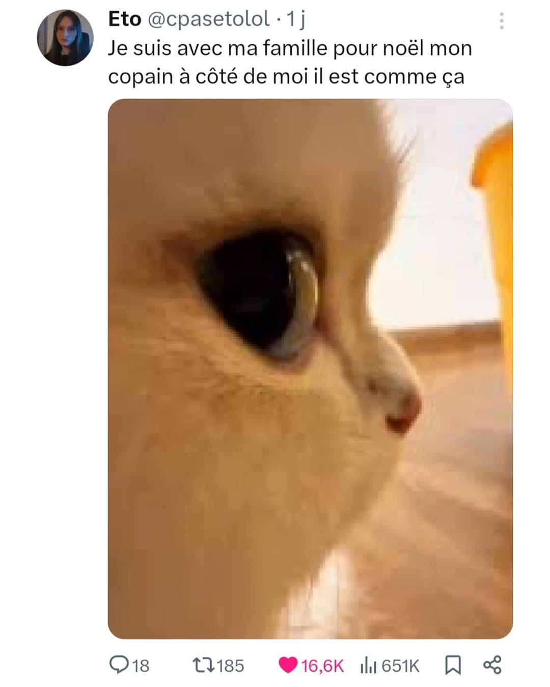 Post 6 by le rire c'est la viiiie on Instagram (image)