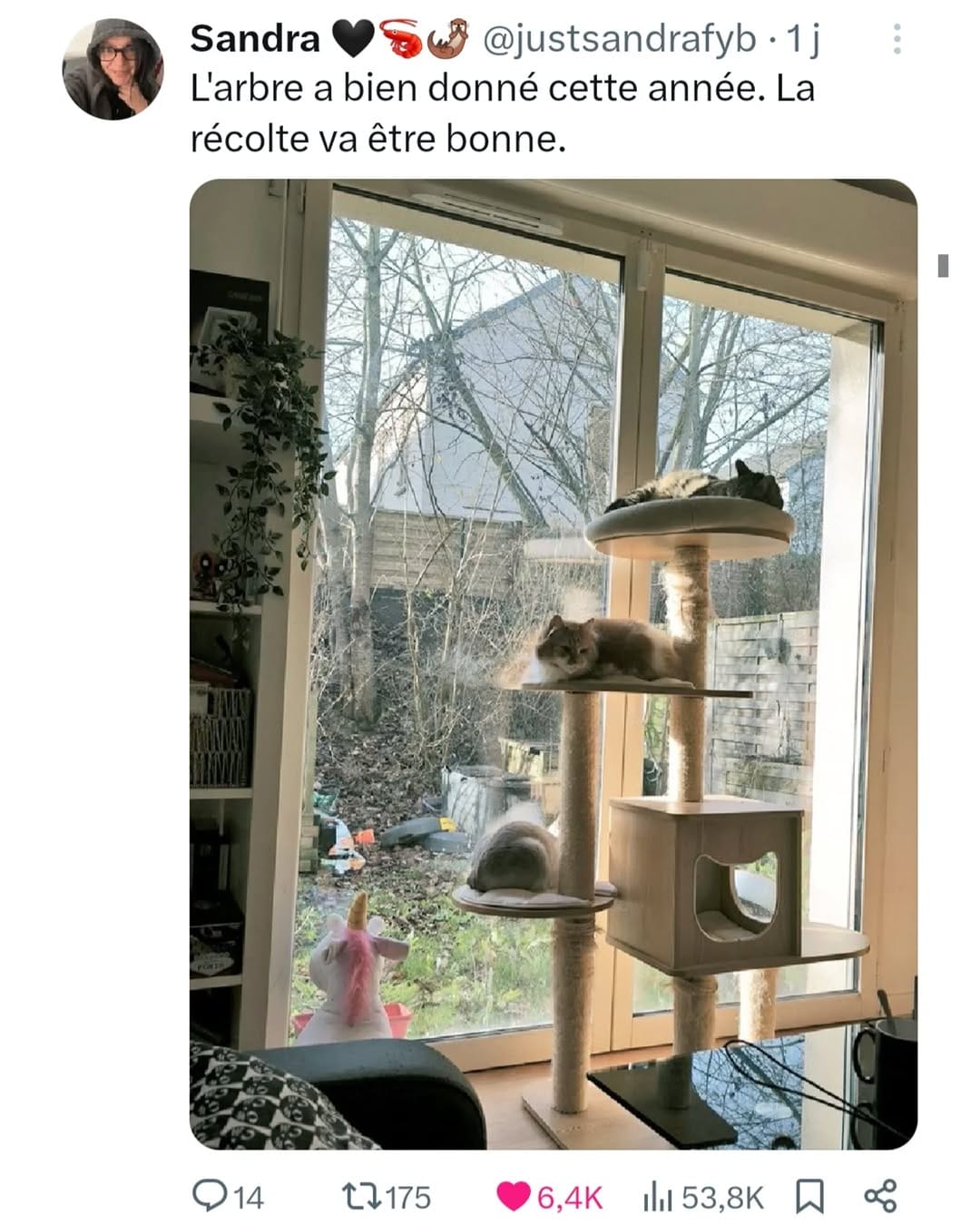 Post 8 by le rire c'est la viiiie on Instagram (image)