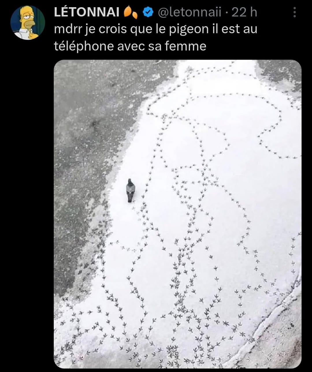 Post 3 by le rire c'est la viiiie on Instagram (image)