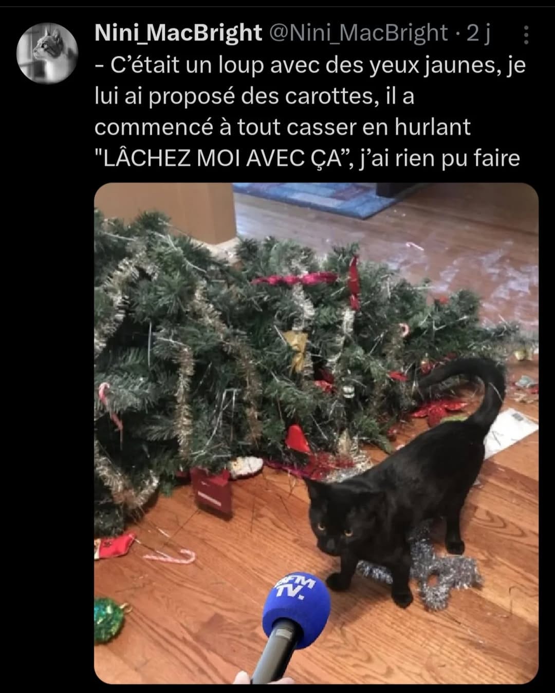 Post 7 by le rire c'est la viiiie on Instagram (image)