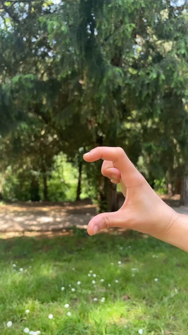 Post 2 by Marion ✨UGC✨ on Instagram (video)