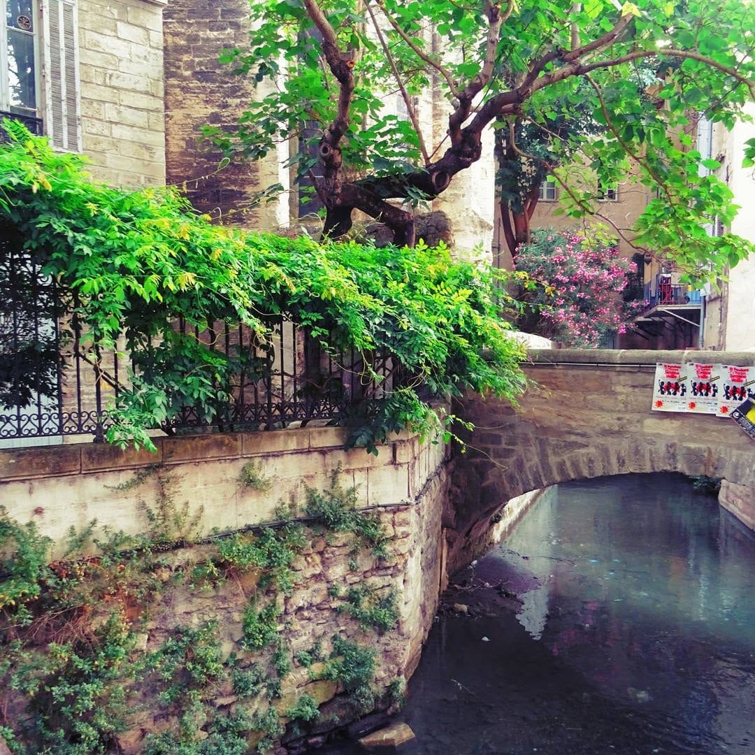 Post 5 by Carl "Valmont" Lepeltier ⚜️ on Instagram (image)