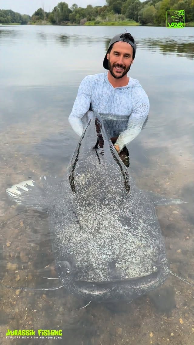 Post 2 by Charly Dally on Instagram (video)