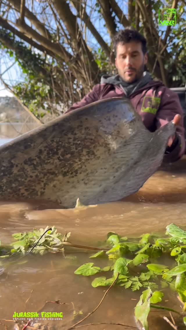 Post 10 by Charly Dally on Instagram (video)