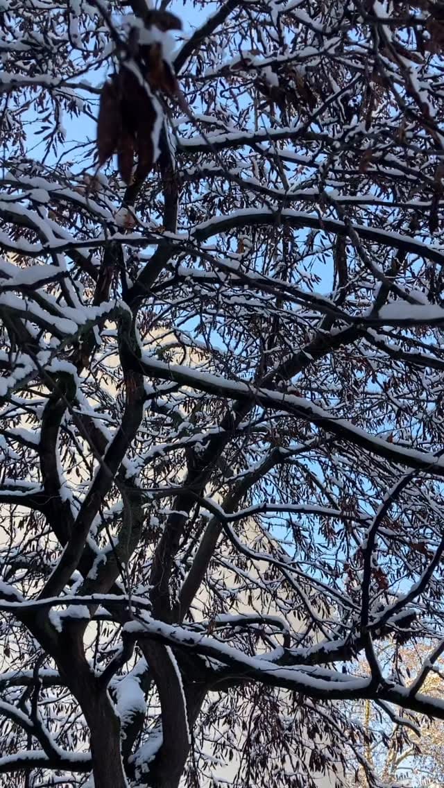 Post 6 by Guillaume Geoffroy on Instagram (video)