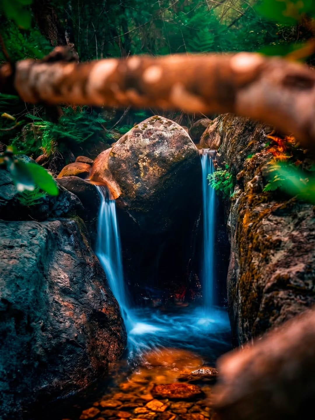 Post 3 by Gregory F on Instagram (image)