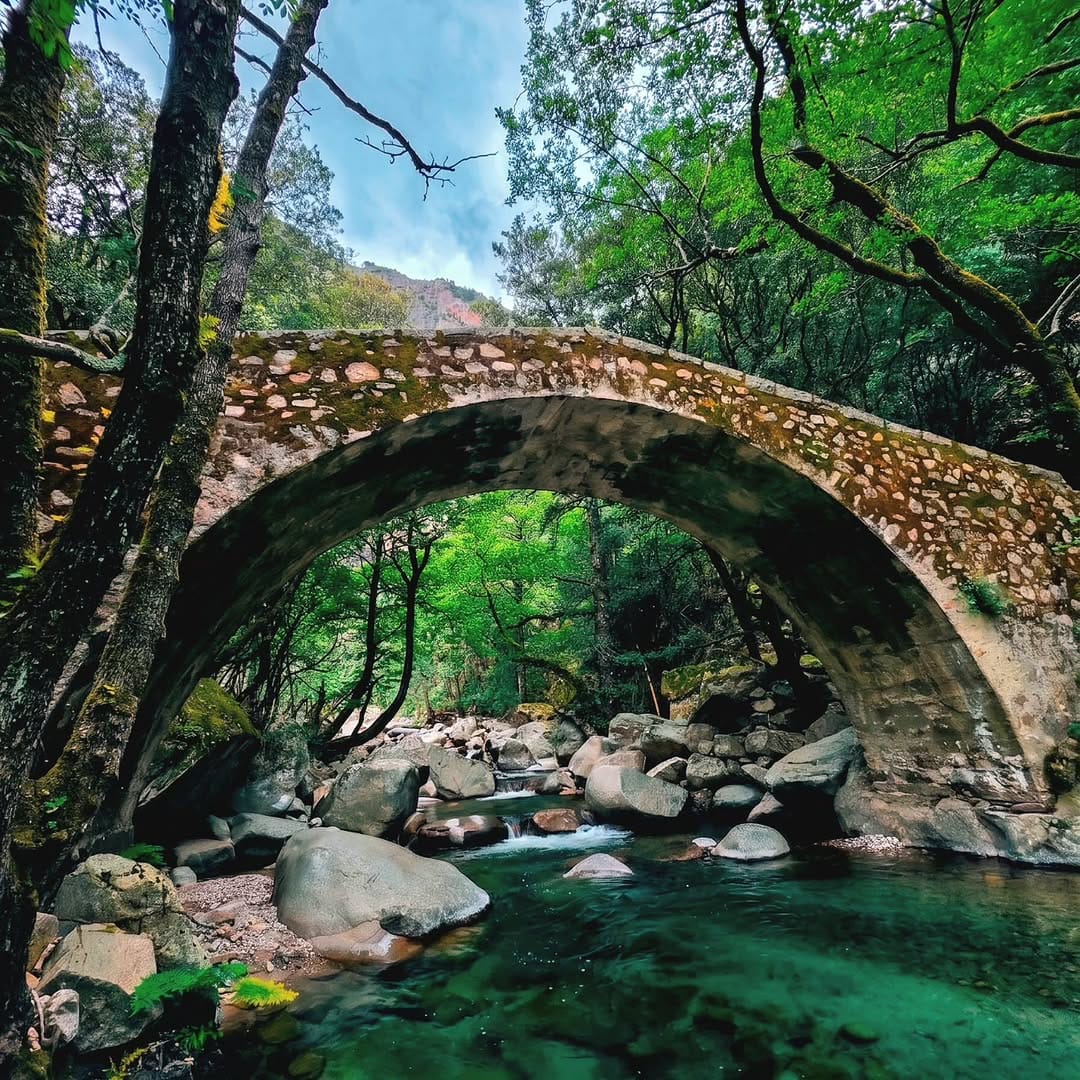 Post 2 by Gregory F on Instagram (image)