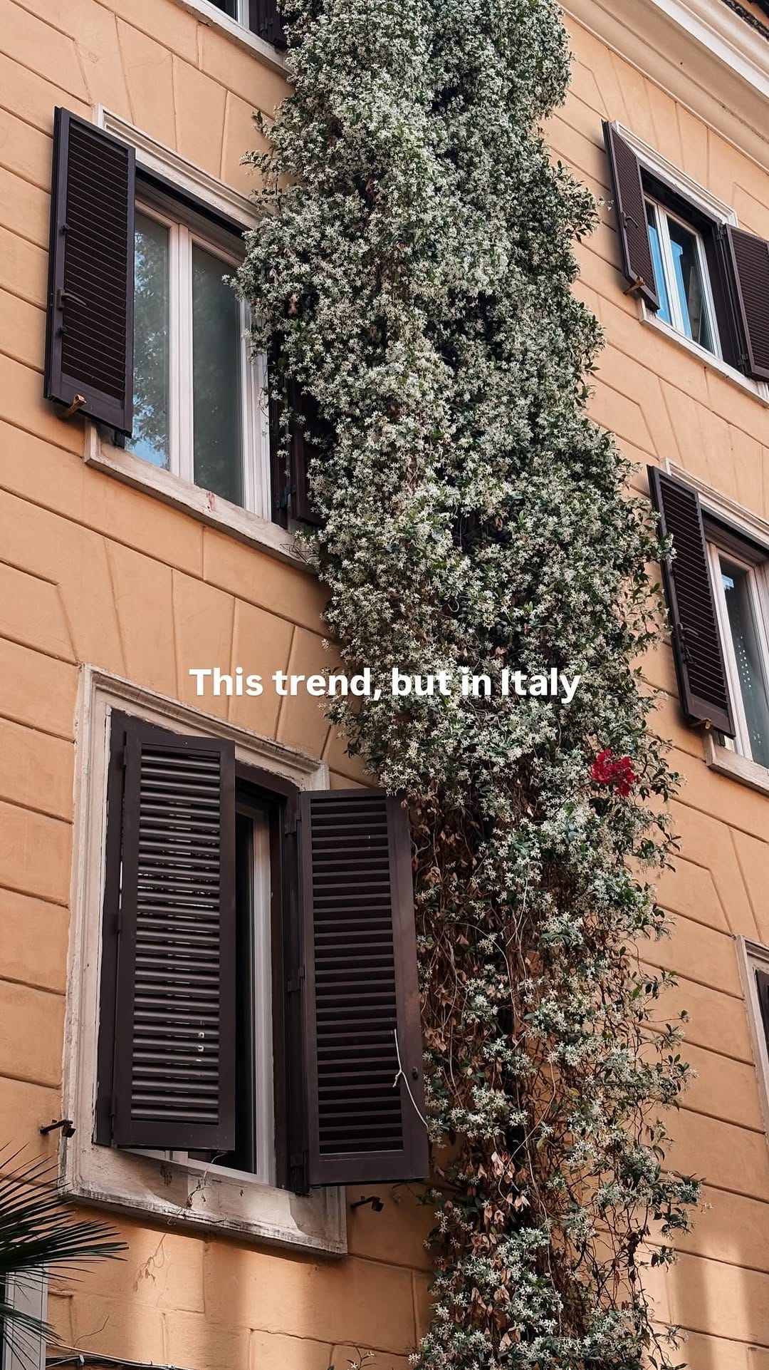 Post 7 by Baptiste 🪼 on Instagram (video)