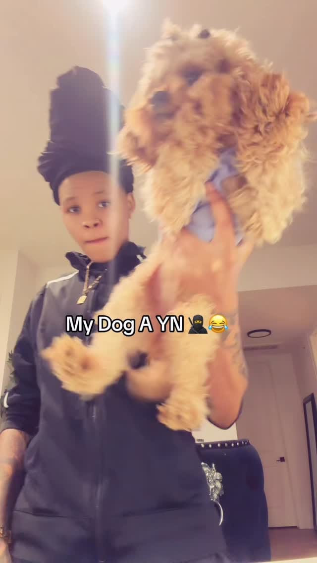 Post 4 by .dee 𓋹 - Owner DTROCK 📲 on Instagram (video)