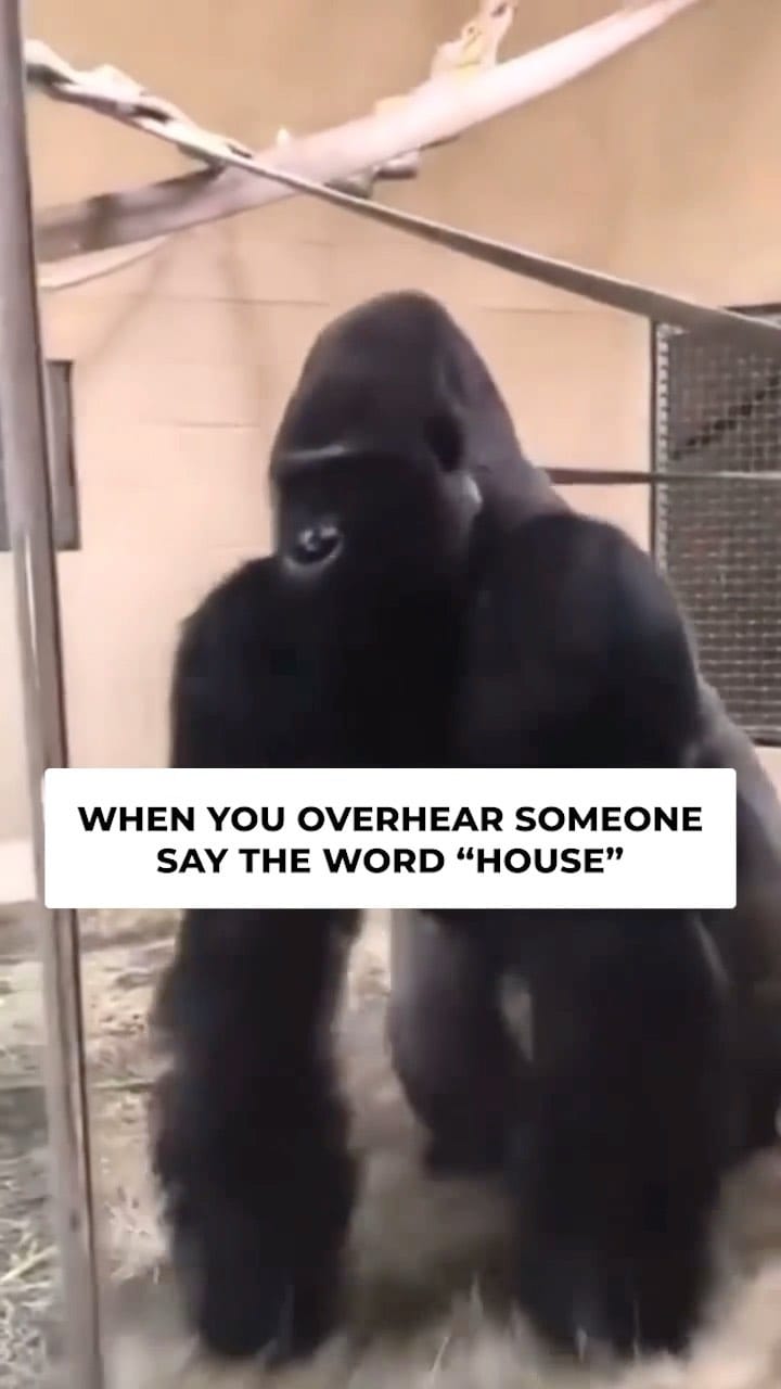 Post 9 by Omar Alfaro on Instagram (video)