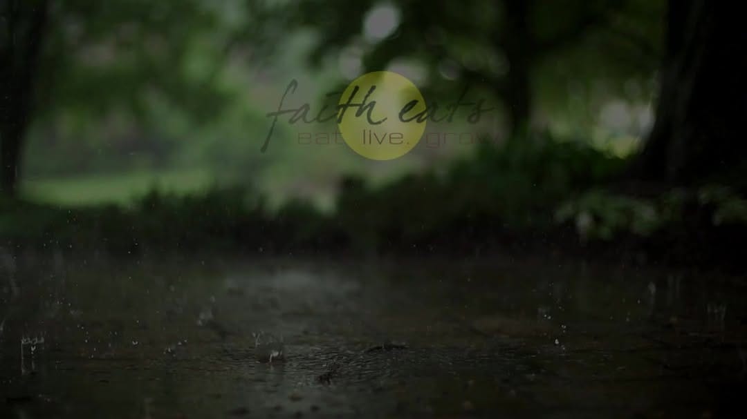 Post 4 by Faith Eats on Instagram (video)