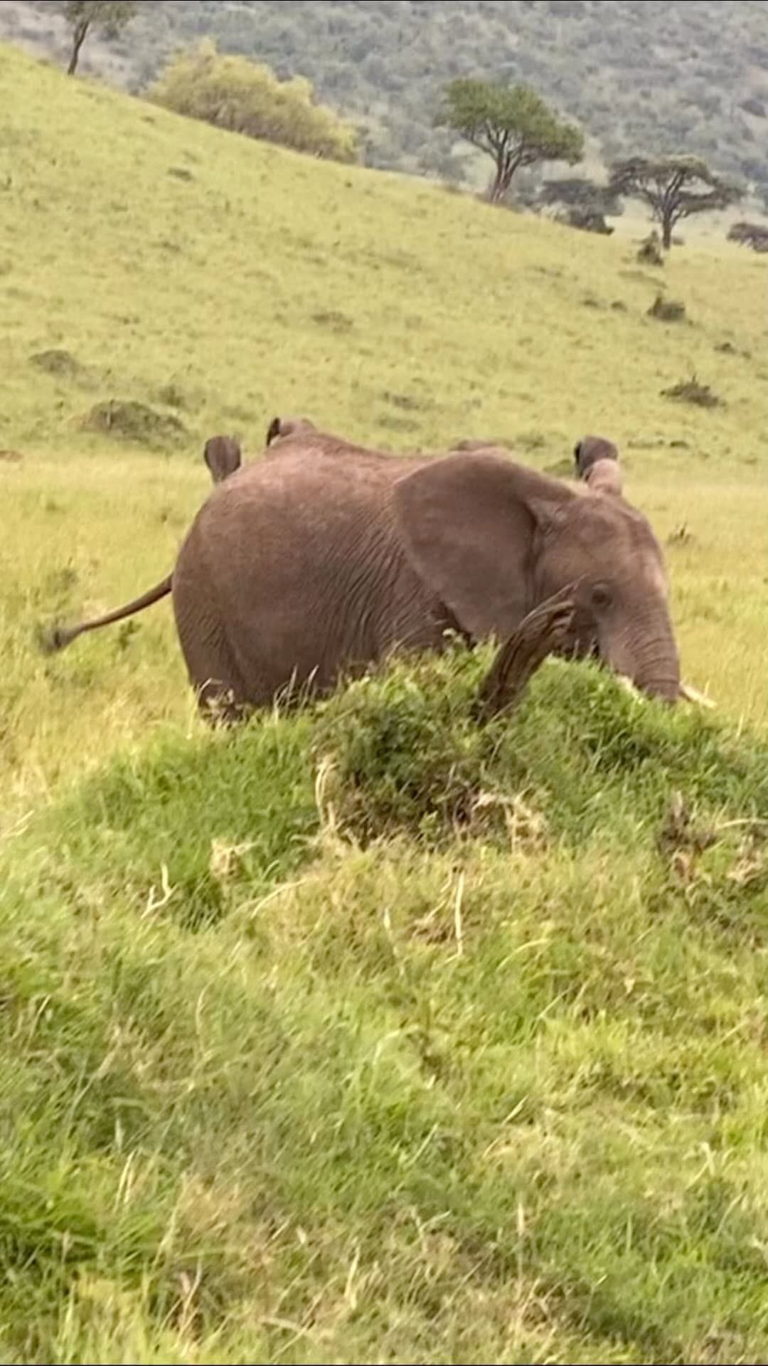 Post 3 by Mona Christensen on Instagram (video)