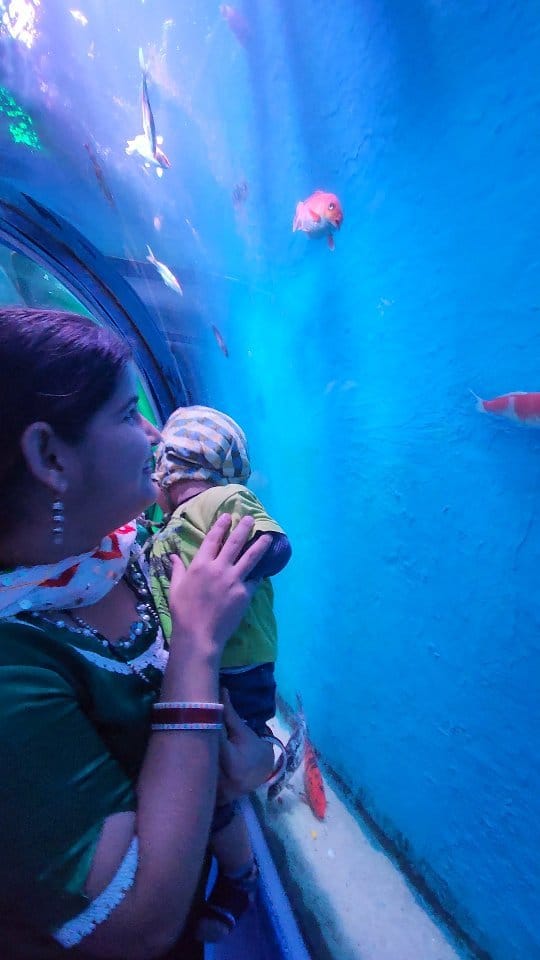 Post 1 by Manoj Sharma on Instagram (video)
