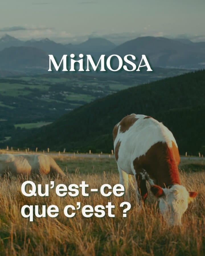 Post 9 by MiiMOSA on Instagram (carousel)